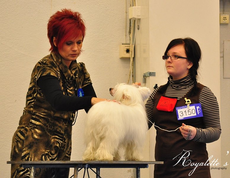 Turku 22.1.2011